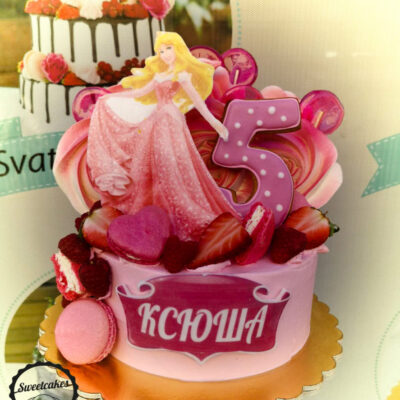 Dětský narozeninový dort Popelka (2 kg, 1650 kč)