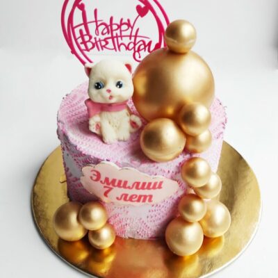 Dětský narozeninový dort Čokoládová Kočička 4 (2 kg, 1650 kč)