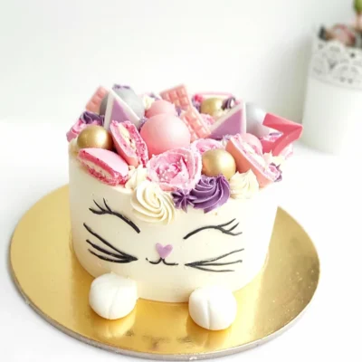 Dětský narozeninový dort Kočička 5 (2 kg, 1900 kč)